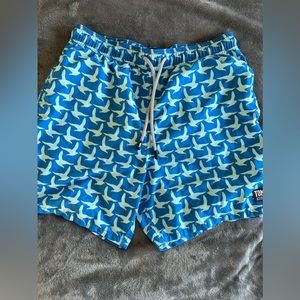 Tom & Teddy Men’s Swimsuit